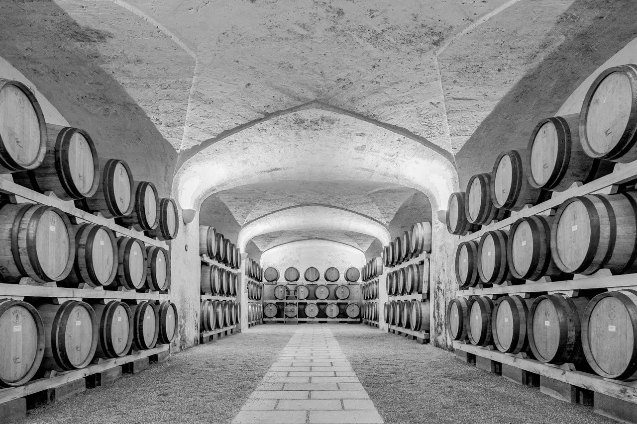 Azienda Produttrice : Castel di Salve