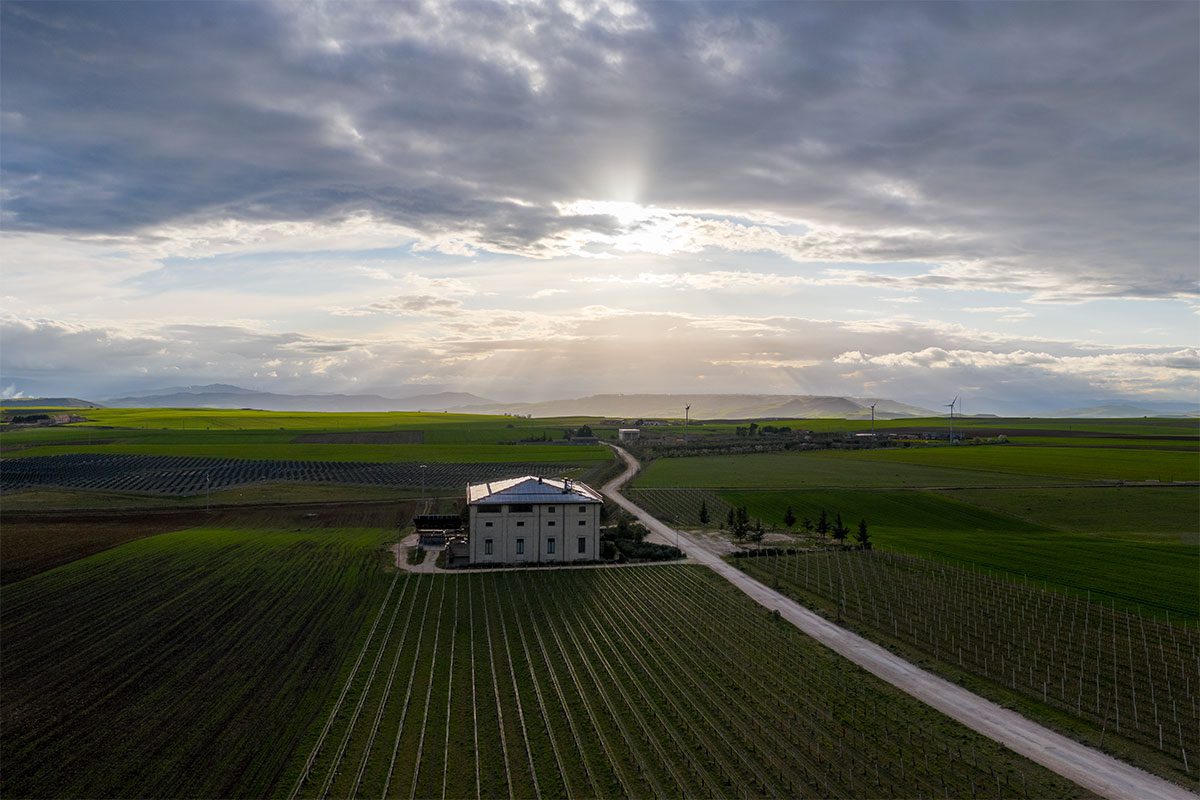 Azienda Produttrice : Colli della Murgia