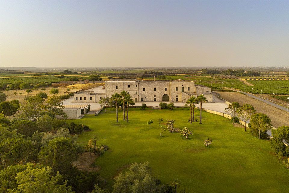 Azienda Produttrice : Masseria Li Veli