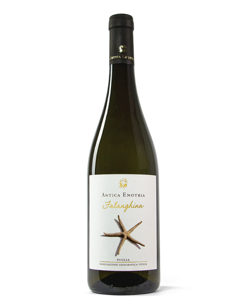 Falanghina IGT Puglia – Antica Enotria